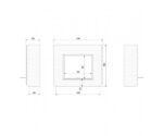 Pinus - Image 4