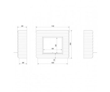 Pinus - Image 4